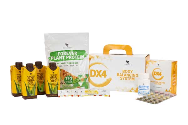 DX4 Box mit ausgepackten Produkten