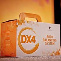 DX4 Box vor orangenem Hintergrund